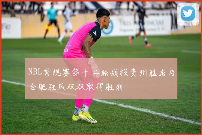 NBL常规赛第十二轮战报贵州猛龙与合肥狂风双双取得胜利