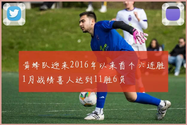 黄蜂队迎来2016年以来首个六连胜1月战绩喜人达到11胜6负